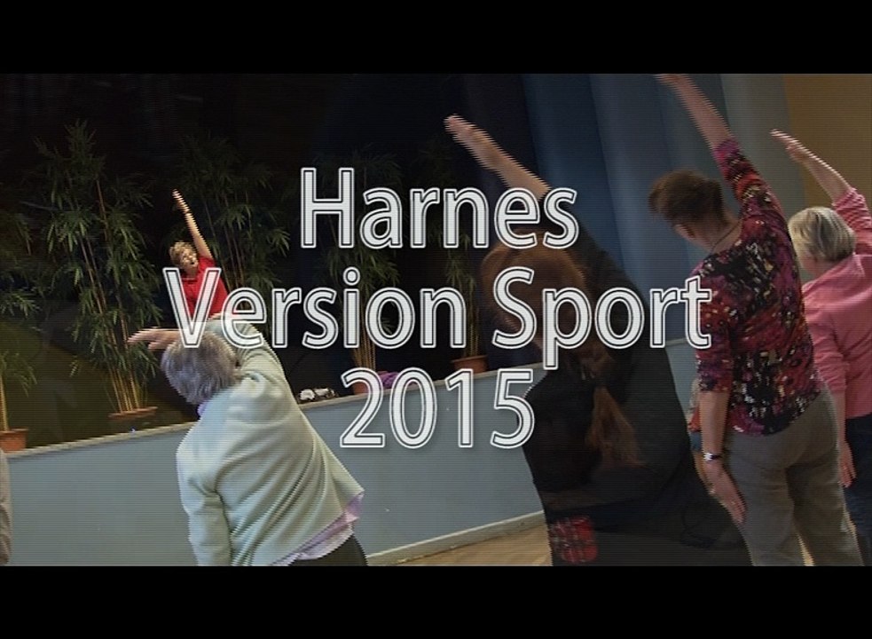 Rétrospective sportive harnésienne en 2015