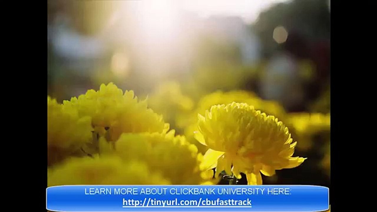 Make Money Online Reviews: Don't Buy Clickbank University aka CBU UNLESS...