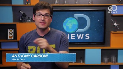 What Happens if the Planets Align