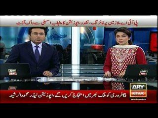 Amazing report about gambling on cockfight