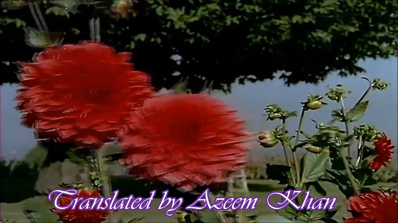 Ay Phoolon ki rani Hindi English Subtitles Full Song HD