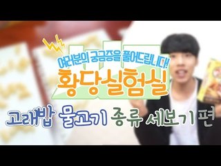 다양한것들을 실험한다! 눈꽃의 황당실험실 -고래밥 물고기 종류세기편 [양띵TV눈꽃]