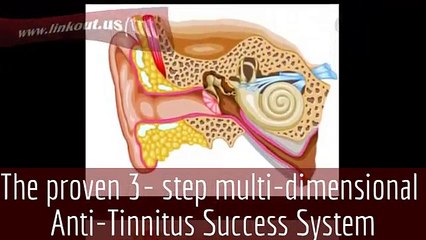 The proven 3- step multi-dimensional "Tinnitus Miracle™" Anti- Tinnitus Success System