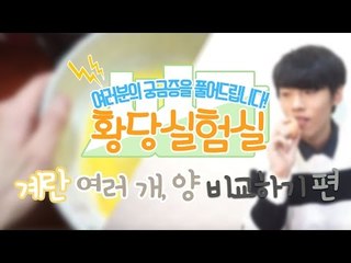 다양한것들을 실험한다! 눈꽃의 황당실험실 -계란 여러개 풀어서 양 비교하기편 [양띵TV눈꽃]