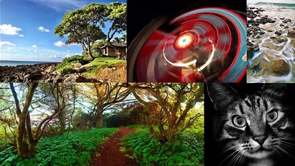 Photography Masterclass Review - Is it worth the money?