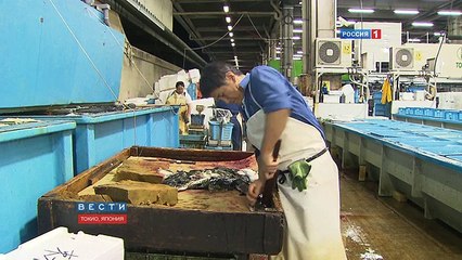 Fugu-fish- risky Japanese delicacy. English version