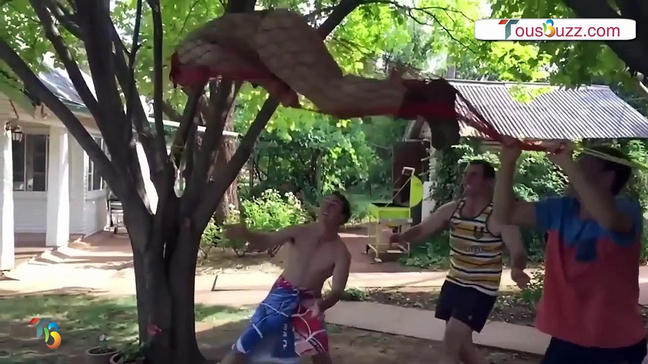 Compilation des meilleurs fails du mois de Janvier 2016