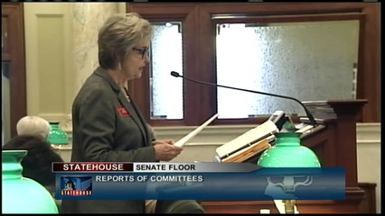 South Dakota Senate - L.D. 13