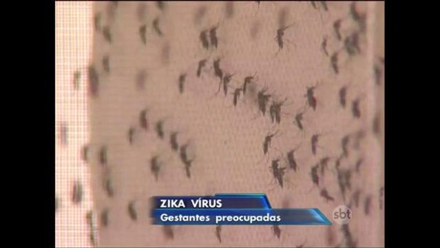 SP: Grávidas fazem curso para tirar dúvidas sobre a microcefalia