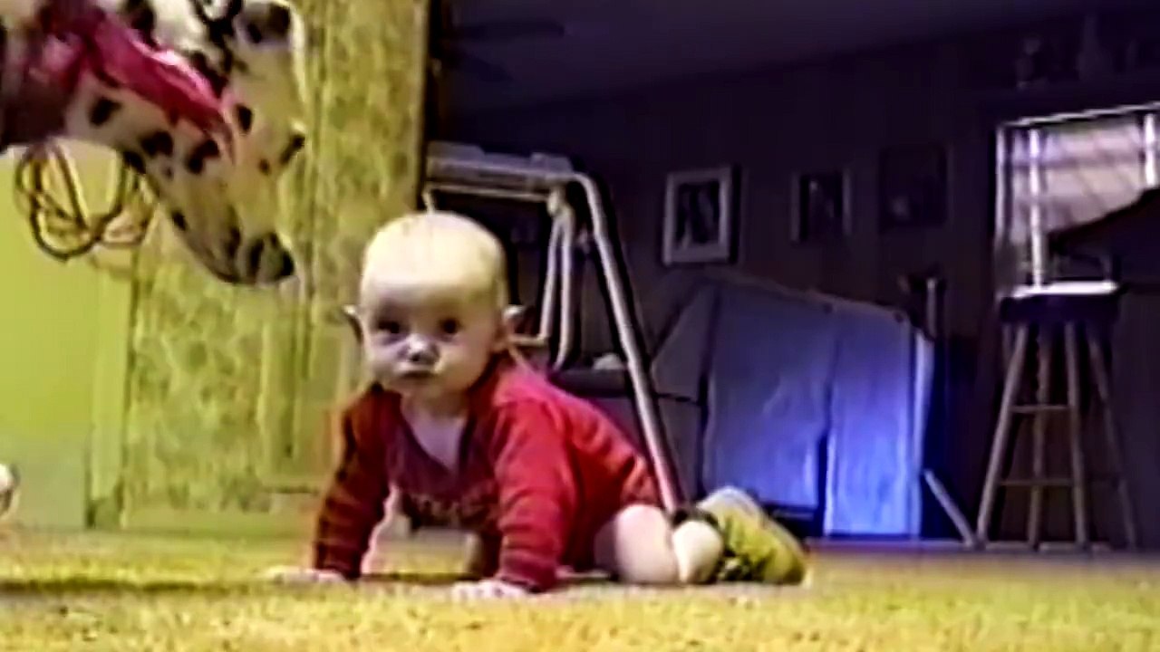 Des bébés et des chiens - Compilation de moments trop mignon et fun