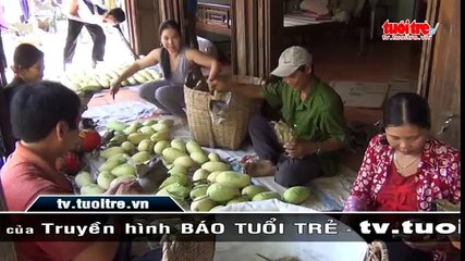 Mãn nhãn với xoài nghệ thuật