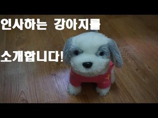 말을 하면 알아듣는 신기한 장난감!!이였습니다.. [양띵TV눈꽃]