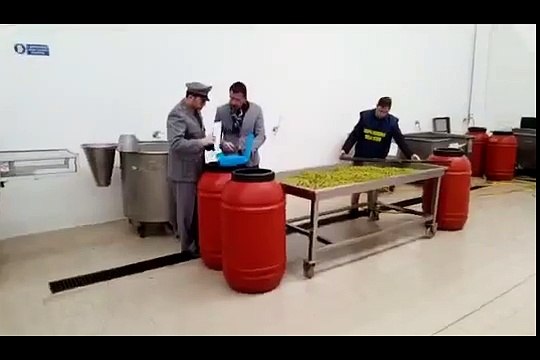 Sequestrati 10.000 kg di olive colorate illegalmente con sostanze tossiche