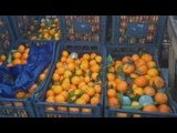 Milano - Rivendevano frutta e verdura destinata alla Caritas: 12 arresti (03.02.16)