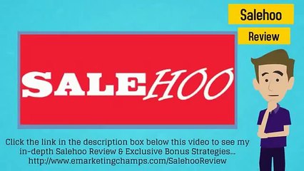 Salehoo Review + Other Alternatives To Using Salehoo MUST SEE