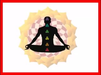 The Ayurveda Experience Review