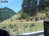 Troupeau de moutons impressionnant envahit une route en Nouvelle Zélande