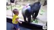 Случай в зоопарке. Смешная обезьяна и забавный малыш