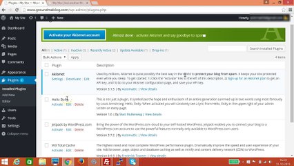 How to Delete a Wordpress Plugin ?