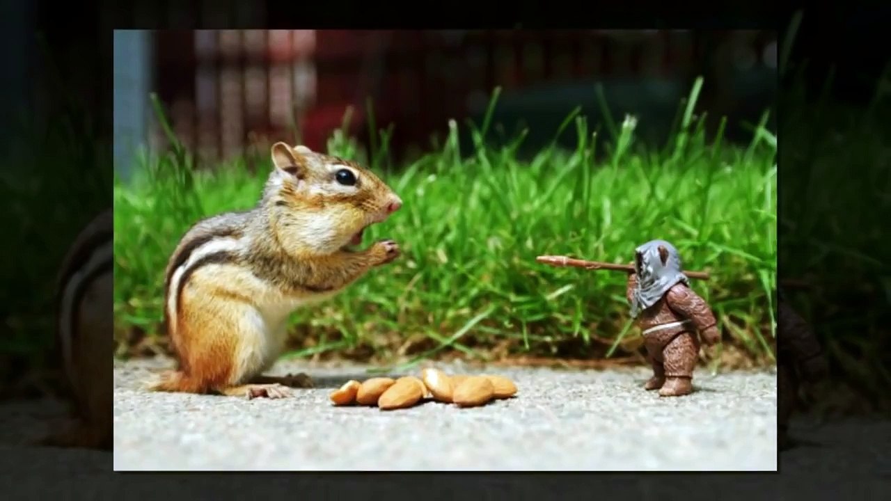 Top Funny Videos 2016 | Right Time Pics | PHOTOS TAKEN AT The RIGHT TIME | Funny Videos 20