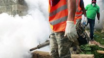 Mexico takes 'preventative measures' as Zika spreads