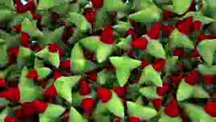 Best Of Just For Laughs Gags  Funniest