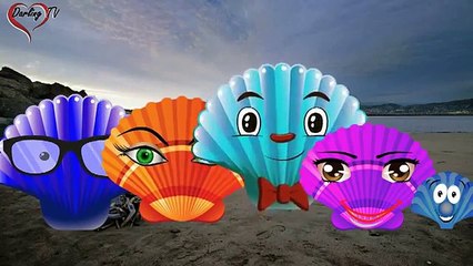Kids Rhymes  2D Sea Shell Finger Family  English Nursery Rhymes (Funny Videos 720p)