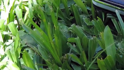 iKey, Un Boton Personalizable Para Android | Toma Fotos, Graba Audio, Abre Un App, ETC | TecnoDroid