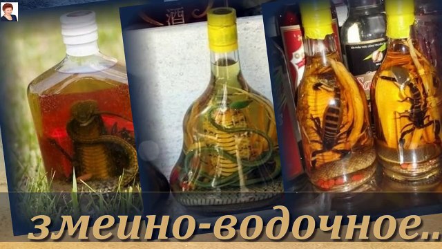 ПИТЬ ИЛИ НЕ ПИТЬ- ВОТ В ЧЕМ ВОПРОС!