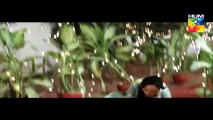 Pakeeza OST HUM TV Drama