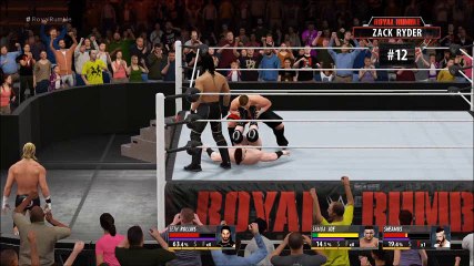 Royal Rumble 2016 [Royal Rumble Match]