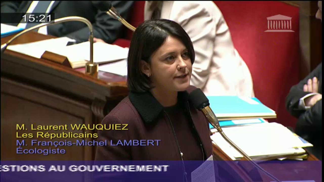 Aménagement des territoires de montagne : S. Pinel répond à une question au Gouvernement