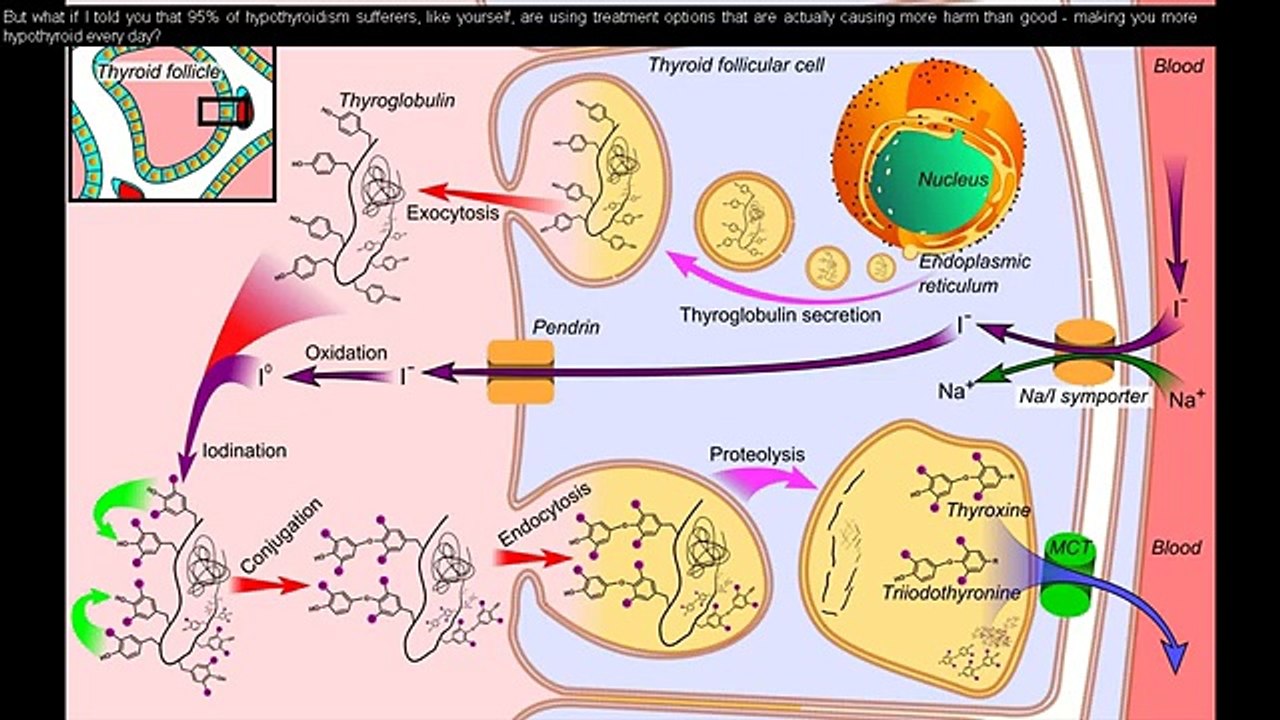 The Hypothyroidism Revolution Review | Watch This | The Hypothyroidism Revolution Reviews