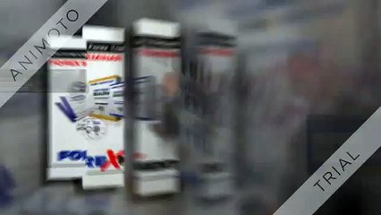 Forex Mentor Pro Cost