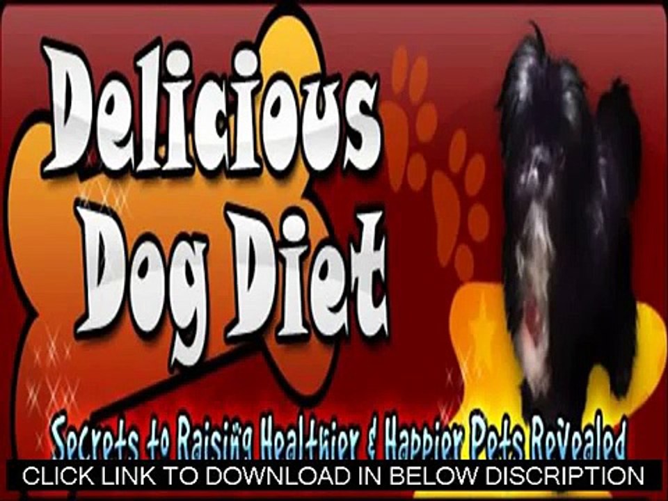 Delicious Dog Diet Review - Does It Really Work?