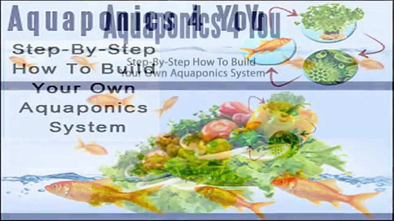 AQUAPONICS 4 YOU REVIEW "AQUAPONICS 4 YOU REVIEW"- AQUAPONIC SYSTEM DESIGN!