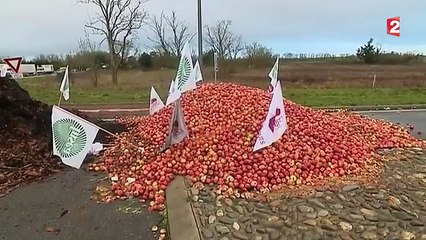 Agriculteurs : leur colère ne faiblit pas contre la grande distribution
