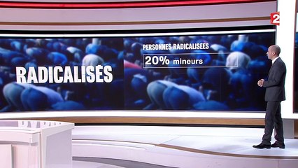 Lutte contre le terrorisme : l'état de la radicalisation en France