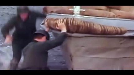 바카라중국점と＼＼【KOP77。COM】＼＼ぅ로얄드림카지노랜드피나클에이전시