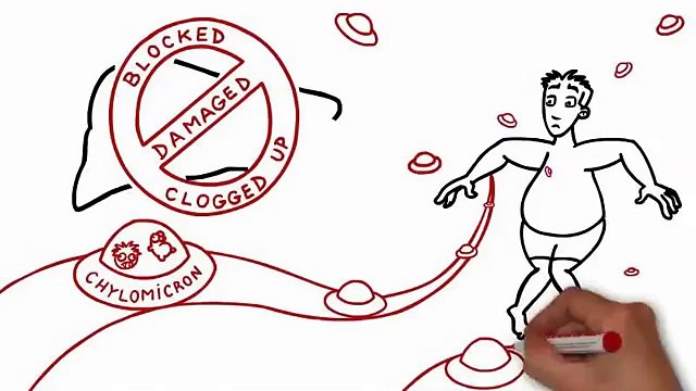 Dr. Charles D.C's Fat Loss Factor | Lori's & Some Others' Success Stories - Reload