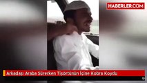 Araba Süren Arkadaşının Gömleğinin İçine Kobra Koydu..