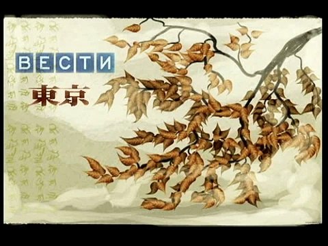 Токийские скоростные дороги - Tokyo highways