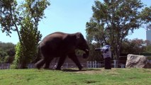 Tucker Tackles a Tennessee Titans Dummy