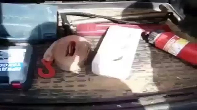 Очень сложный вопрос знатокам Различные короткие видеоролики приколы и др @