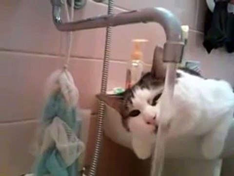 Ржачные приколы Я вам отодвину! Различные короткие видео ролики, приколы и др @