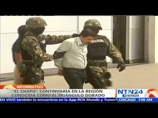 Investigación revela que el “Chapo Guzmán” permanece en México