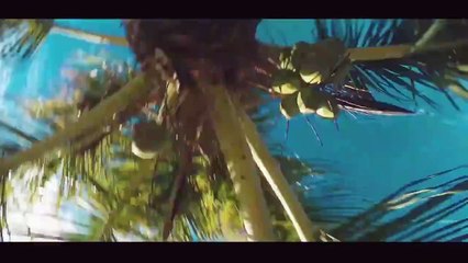 Zenek - Fajne masz piździsko