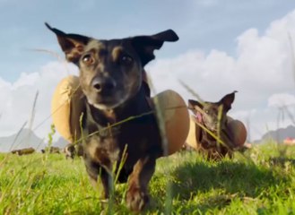 HEINZ "Wiener Stampede" Super Bowl 2016 Commercial
