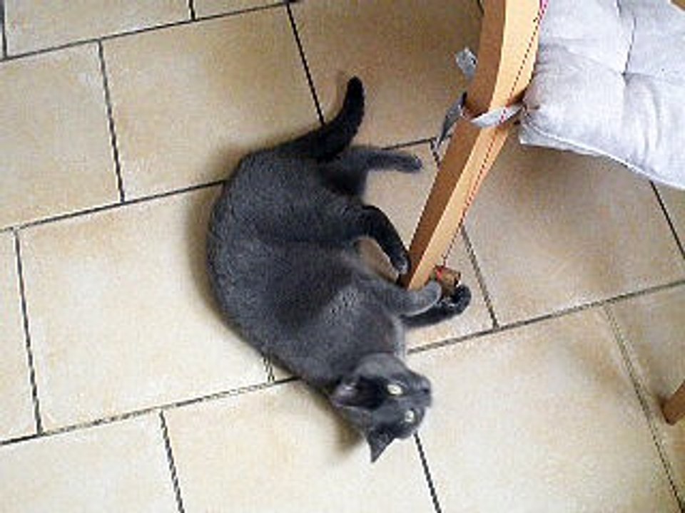 Jeu de bouchonPA020250