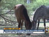 Fight over Salt River wild horse is ending